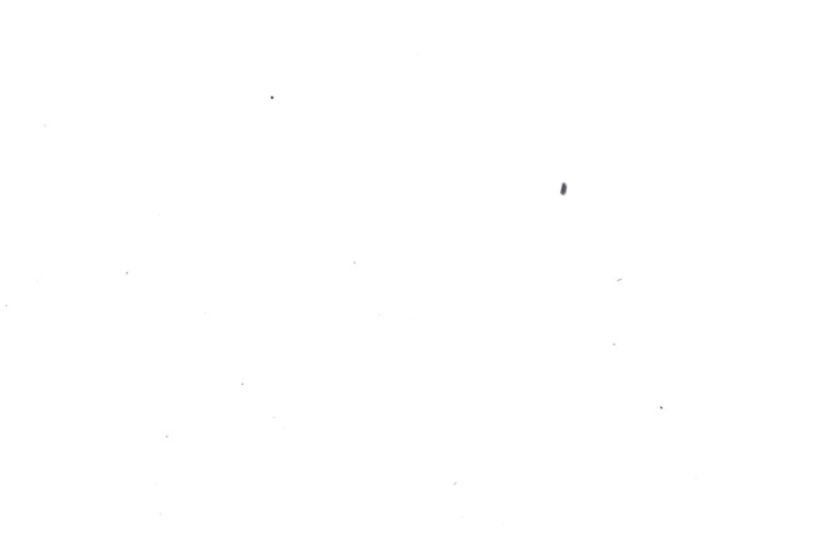 Image 24